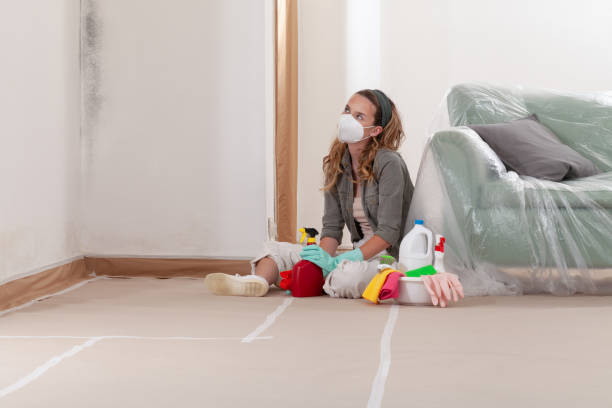 Reliable Hvac And Air Duct Mold Remediation contractor in Grand Ledge, MI by 24 Hour Mold Removal